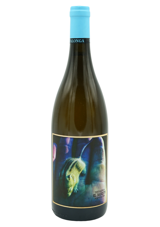 Testalonga El Bandito Mangaliza 2023