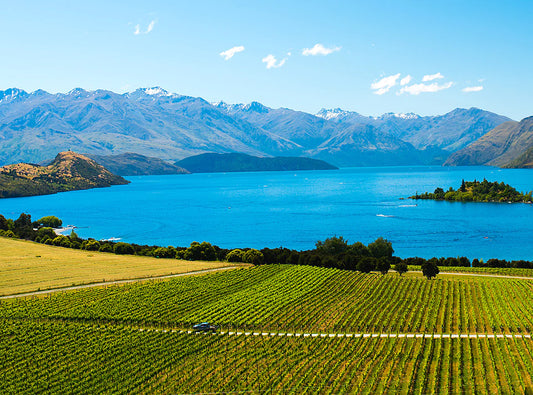 New Zealand Natural Wine: Hermit Ram, Kindeli Wines; Natural wine in hong kong
