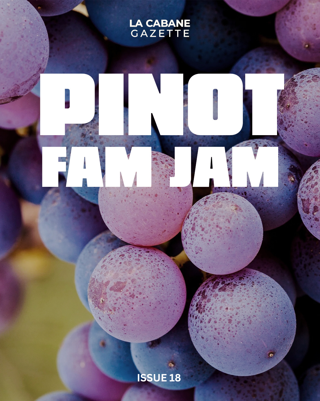 Pinot Grape Varieties; Pinot Gris, Pinot Blanc, Pinto Meunier 