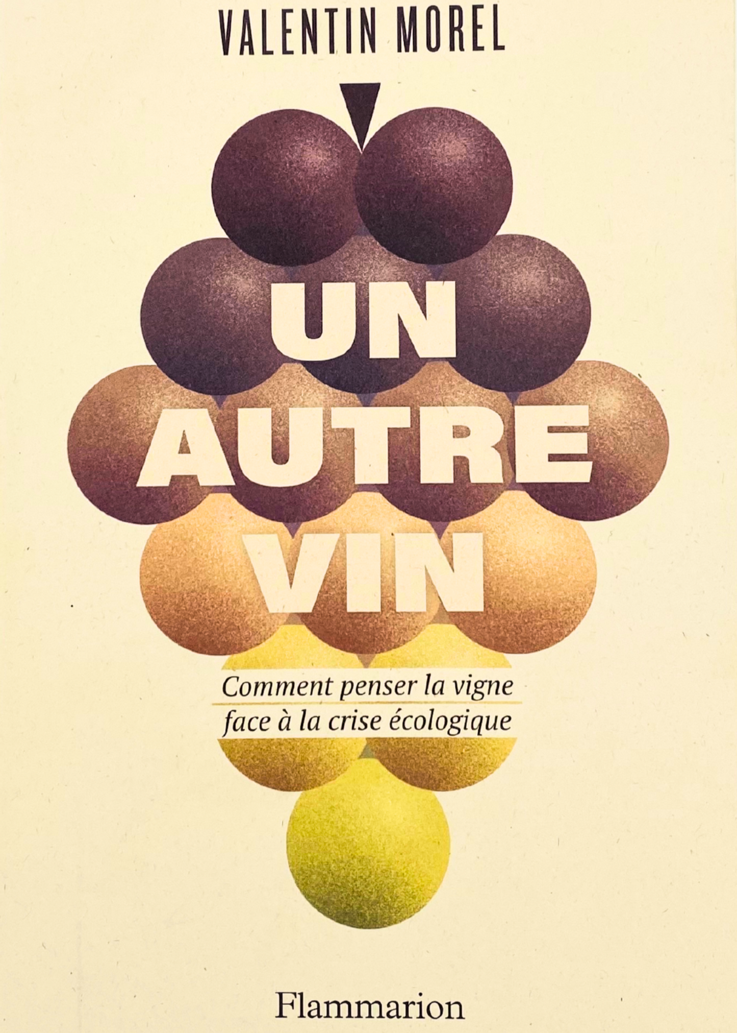 Un Autre Vin - Valentin Morel